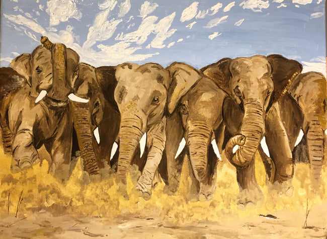 Elephant Series
